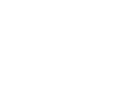 Logo Fatima Naoot